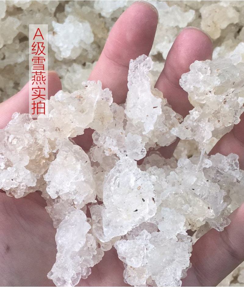 拉丝雪燕产地货源冰糖雪燕不拉丝雪燕植物燕窝