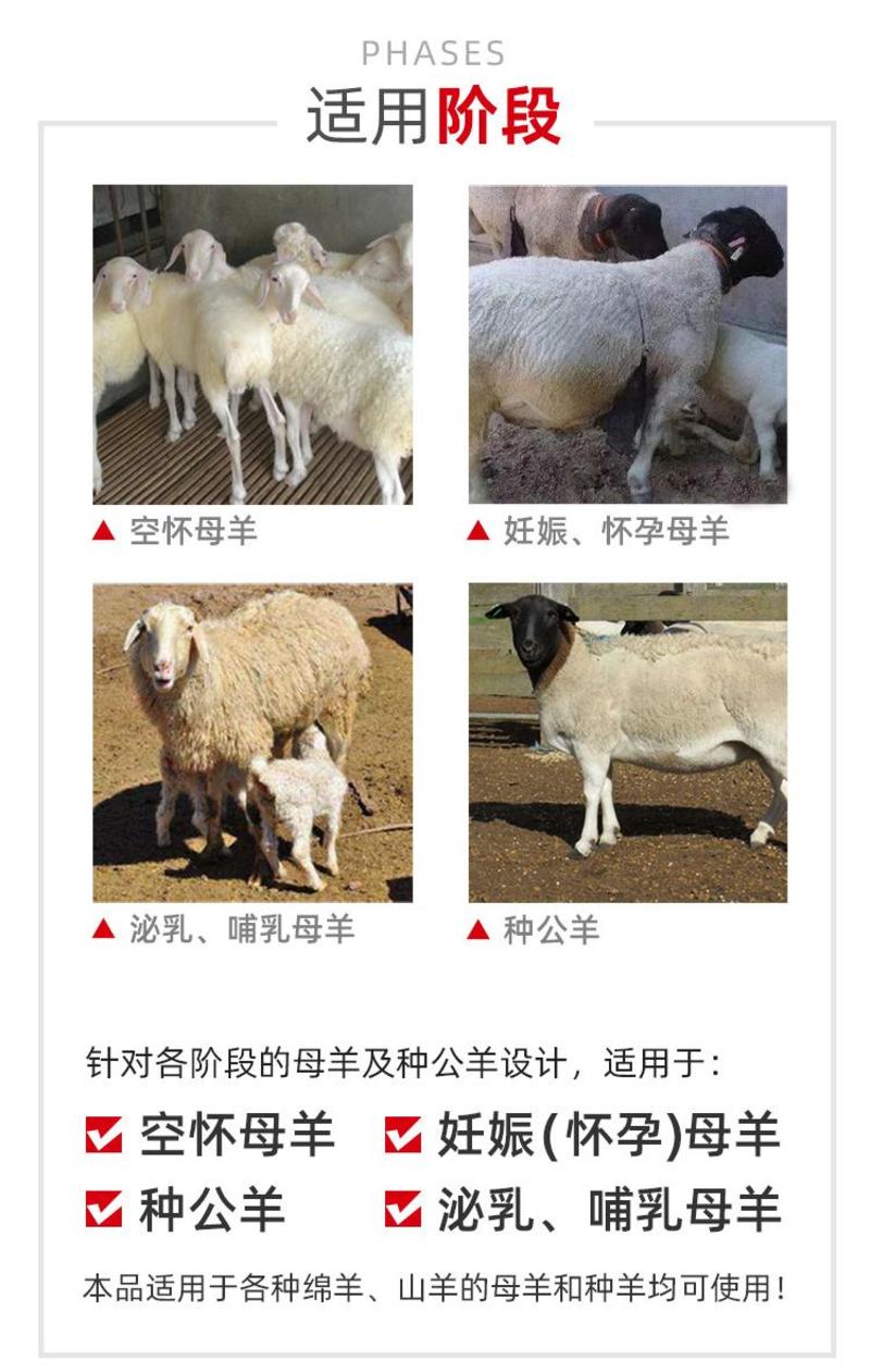 赤乐川母羊专用料怀孕期哺乳期都能用！繁殖母羊预混料