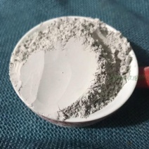 中药材精选无硫正品正品蛤壳海蛤壳海哈壳50