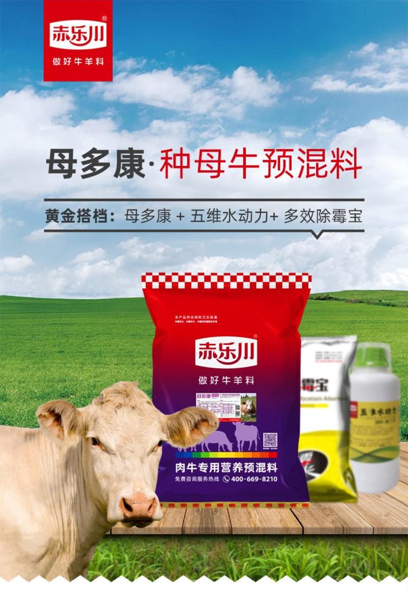 赤乐川母牛专用预混料促进发情受孕提高体质种牛饲料