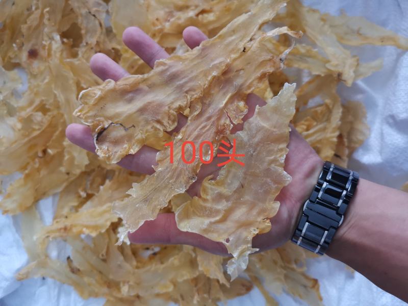 100头厚肉鱼胶花胶鳕鱼胶%不满意可退，一件代发足干老货