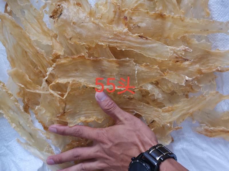 100头厚肉鱼胶花胶鳕鱼胶%不满意可退，一件代发足干老货