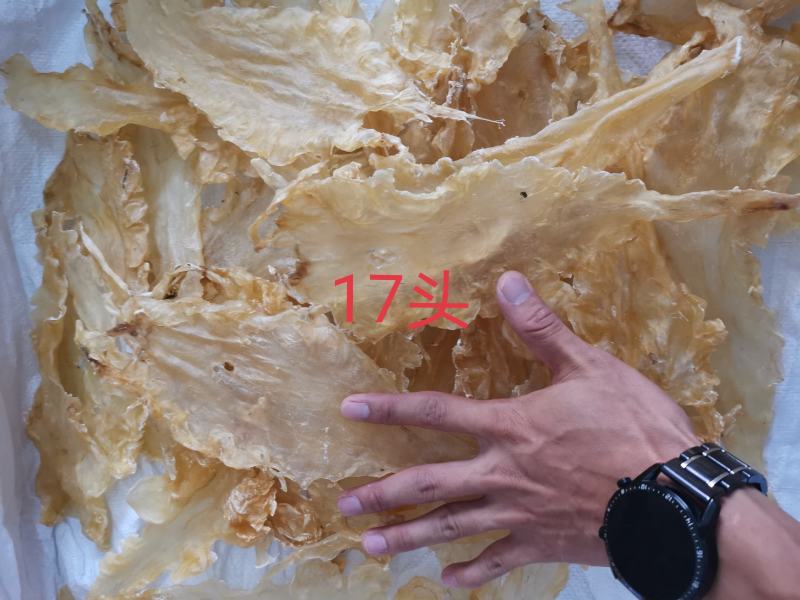 100头厚肉鱼胶花胶鳕鱼胶%不满意可退，一件代发足干老货