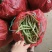 豆角大量上市.质量好.品质优