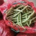 豆角大量上市.质量好.品质优