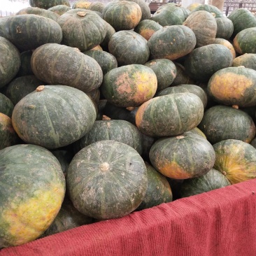 瓜果蔬菜购销