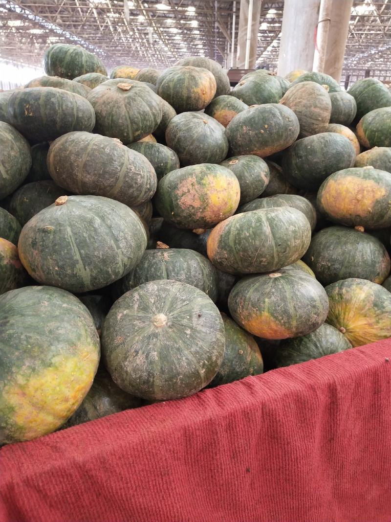 瓜果蔬菜购销