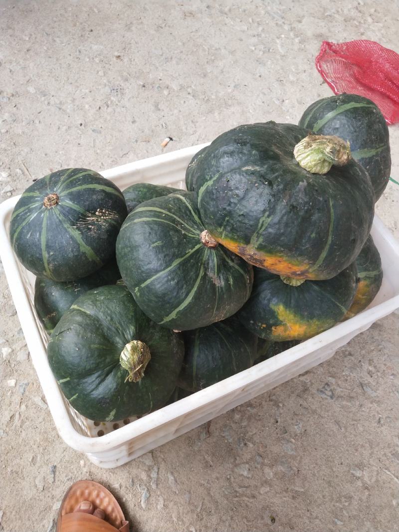 瓜果蔬菜购销