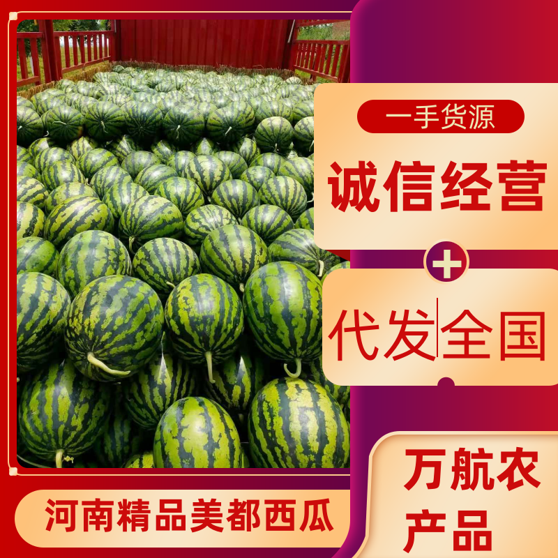 精品美都西瓜，沙地西瓜，代发全国，产地直发