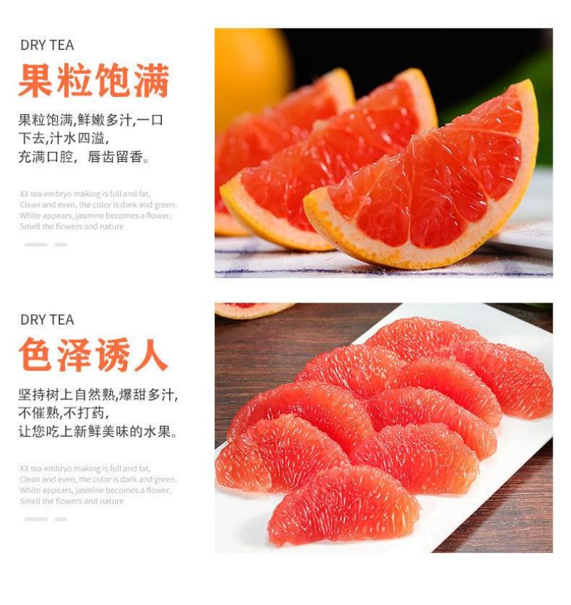 【现货现发】南非西柚埃及西柚一件代发红心葡萄柚整箱包邮