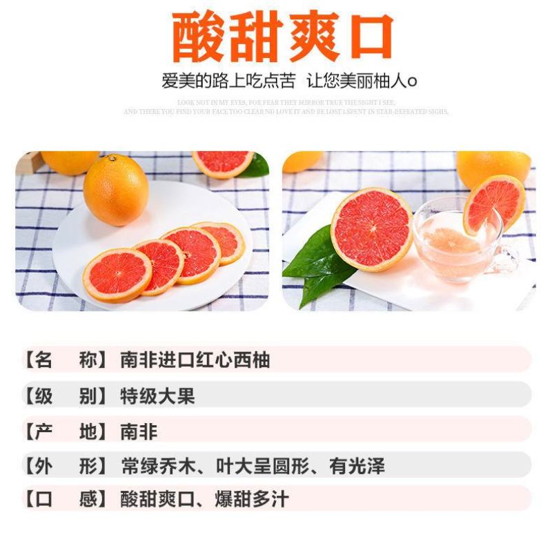 【现货现发】南非西柚埃及西柚一件代发红心葡萄柚整箱包邮