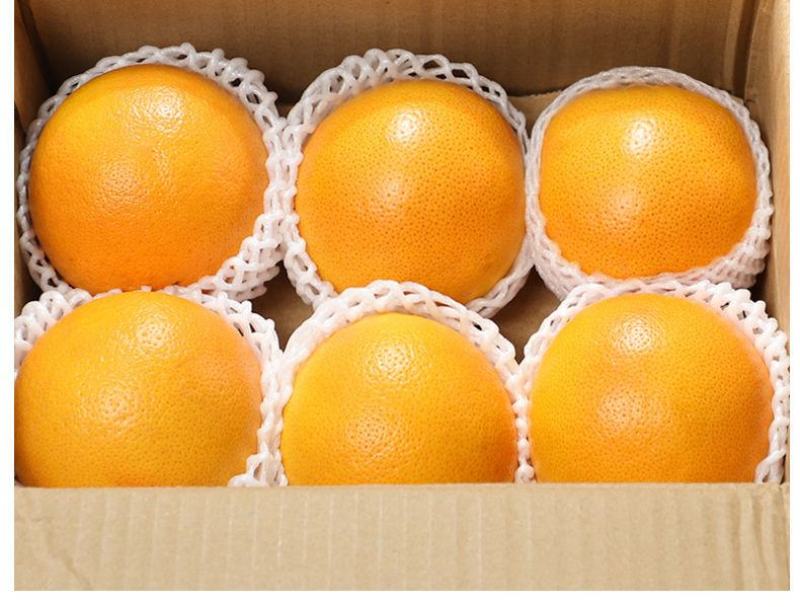 【现货现发】南非西柚埃及西柚一件代发红心葡萄柚整箱包邮