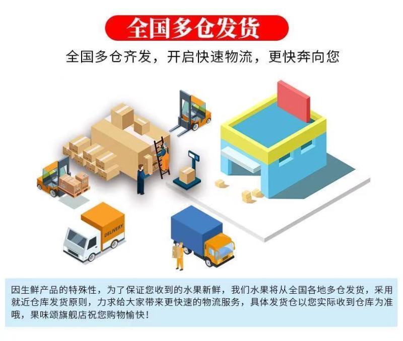 【现货现发】南非西柚埃及西柚一件代发红心葡萄柚整箱包邮