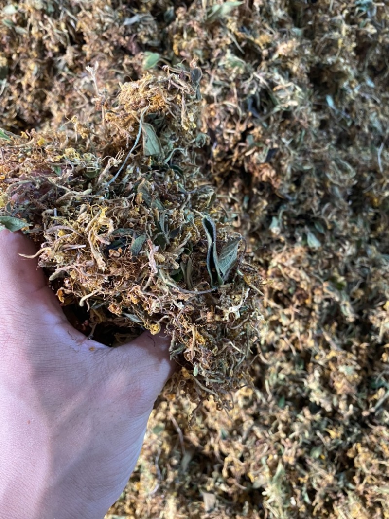 金银花大花质量保证干度颜色好，药食同源