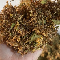 金银花大花质量保证干度颜色好，药食同源