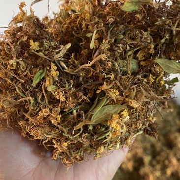 金银花大花质量保证干度颜色好，药食同源
