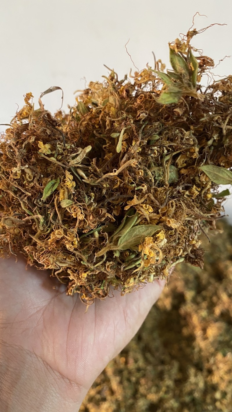 金银花大花质量保证干度颜色好，药食同源