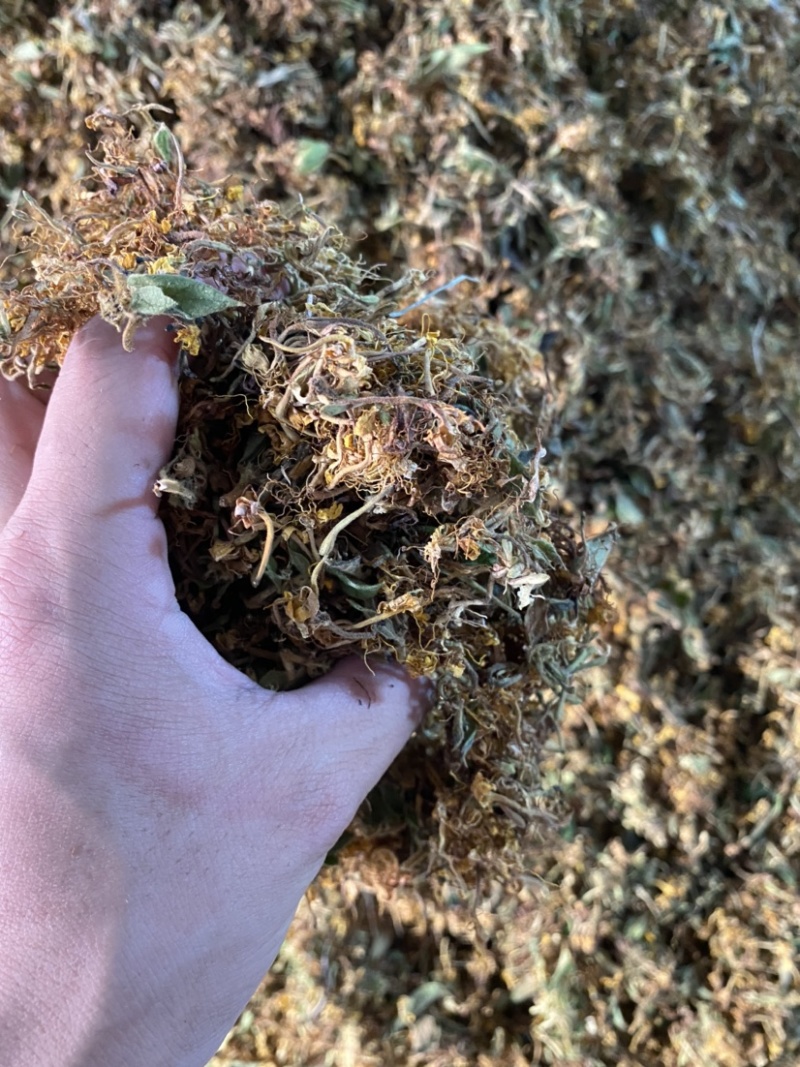 金银花大花质量保证干度颜色好，药食同源