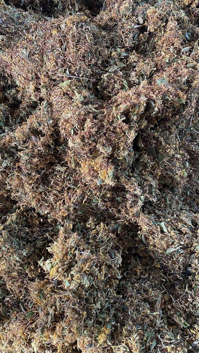 金银花大花质量保证干度颜色好，药食同源
