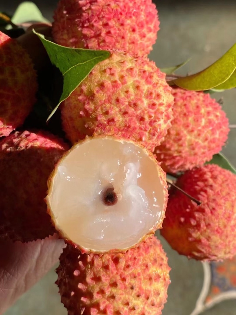 正宗灵山桂味荔枝核细肉厚清甜带桂花香可一件代发