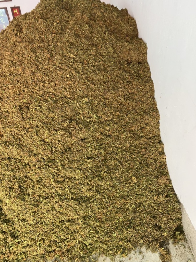 金银花统货，颜色好，生晒无硫，一手货源，质量保证。