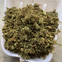 金银花统货，颜色好，生晒无硫，一手货源，质量保证。