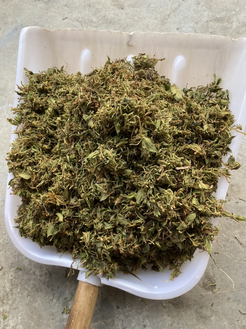 金银花统货，颜色好，生晒无硫，一手货源，质量保证。