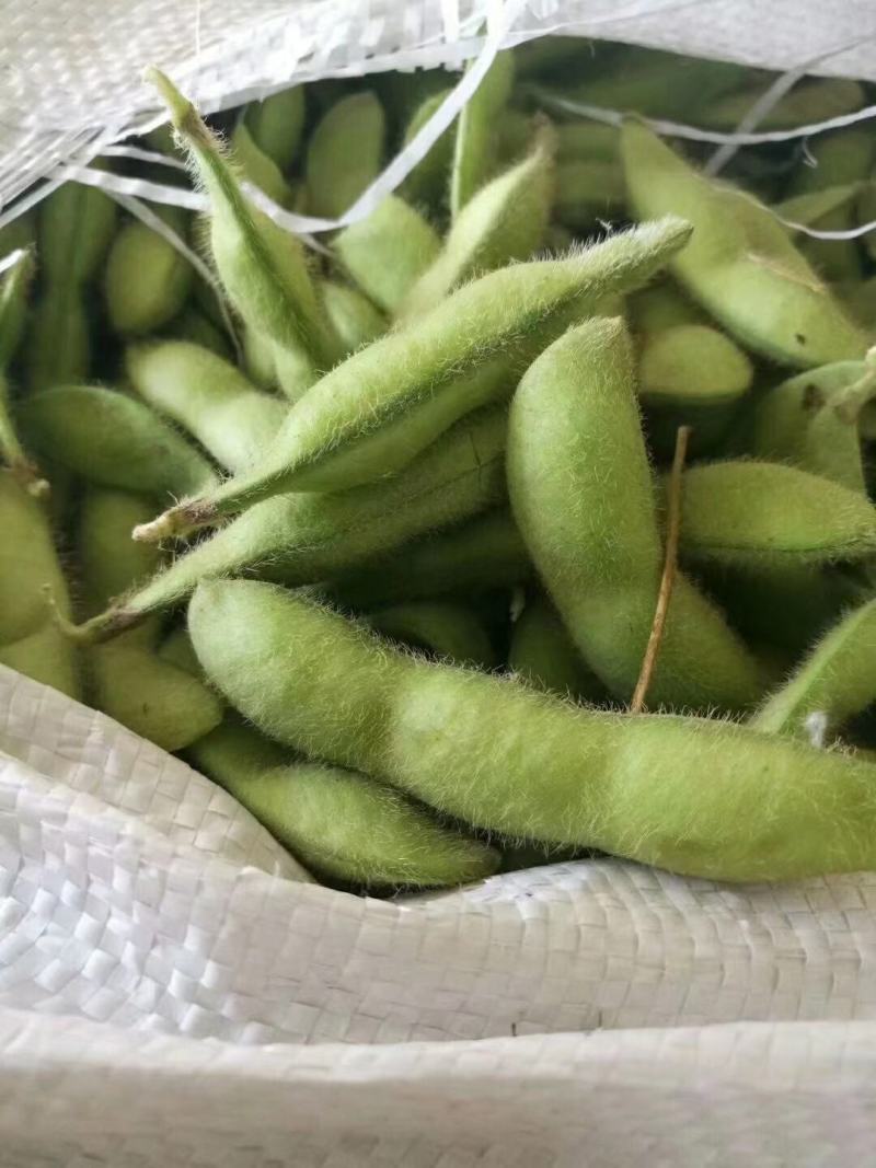邳州毛豆