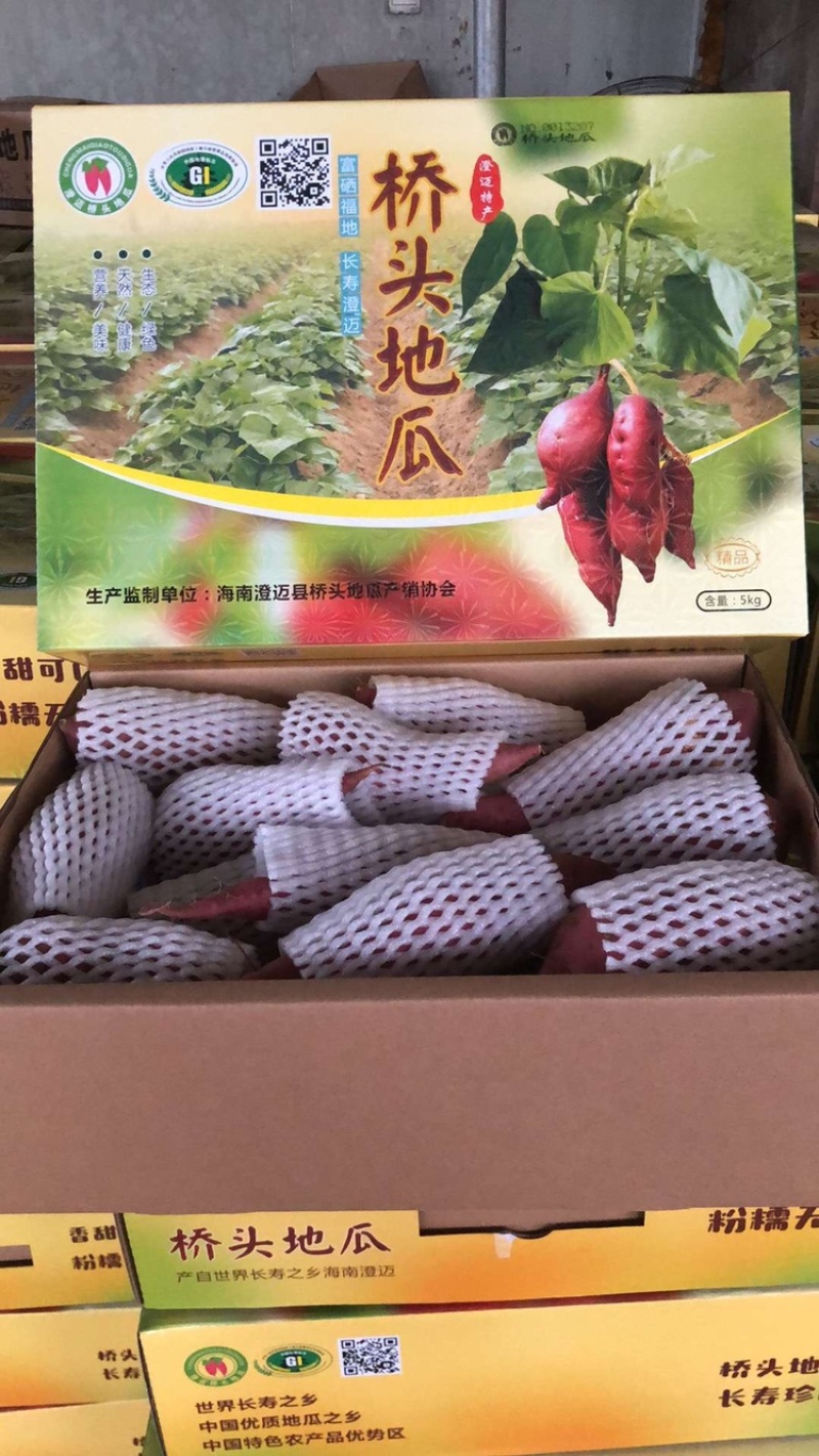 桥头地瓜高系14板栗薯无丝每天挖货打电话