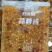 蒜蓉酱蒜泥烤生蚝香辣蒜蓉粉丝扇贝烤蒜泥酱蒸海鲜蒜蓉酱