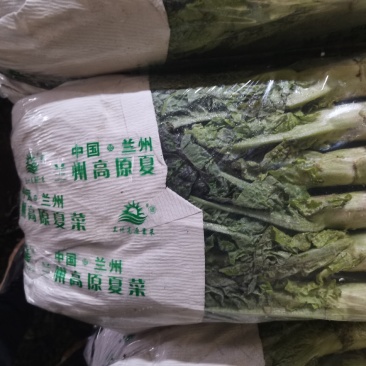红叶窝笋
