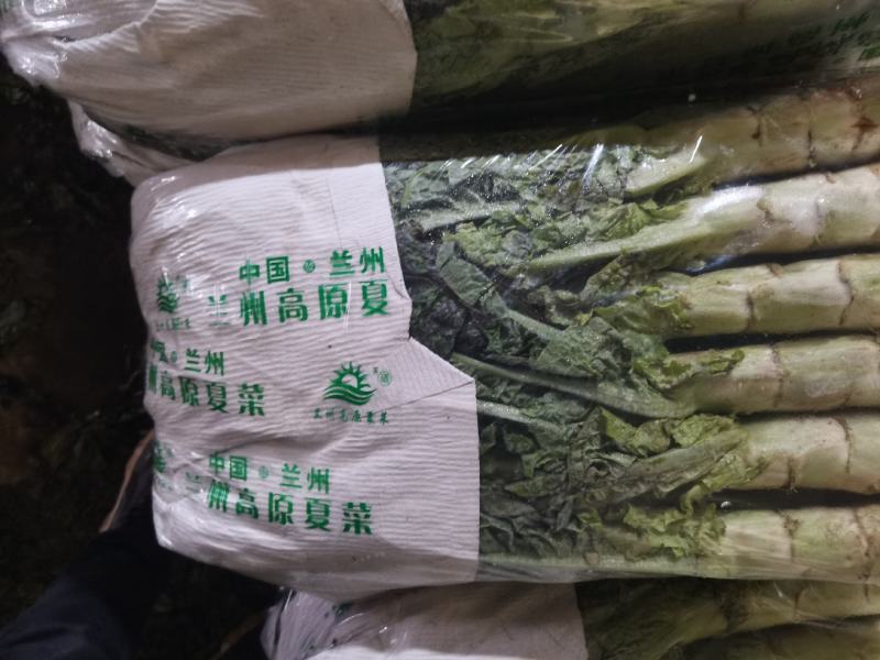 红叶窝笋