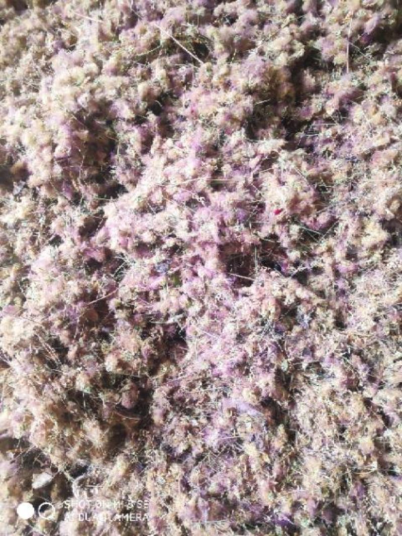 合欢花精品质量保证