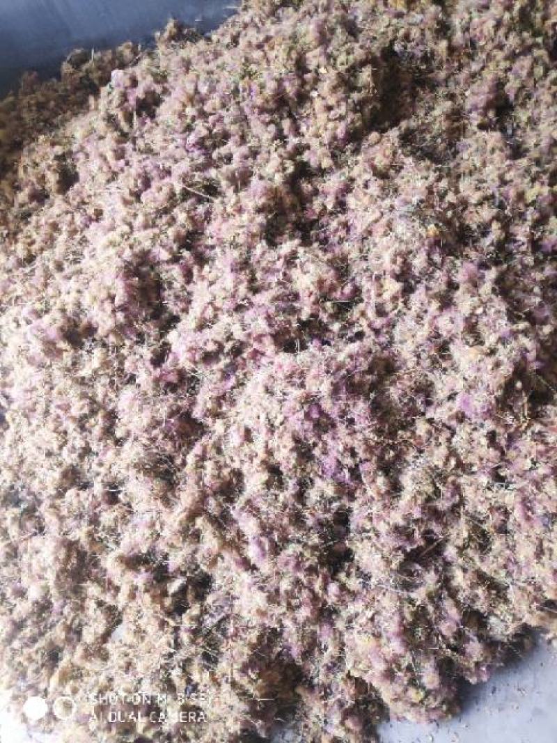 合欢花精品质量保证