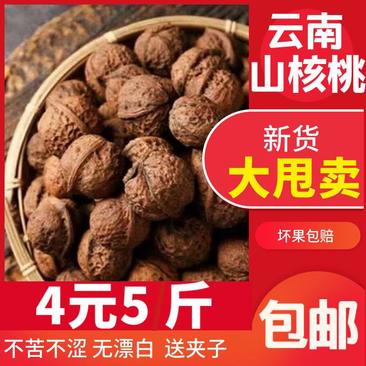 云南山核桃高原野生新鲜3/5/10斤新货补脑孕妇坚果批发