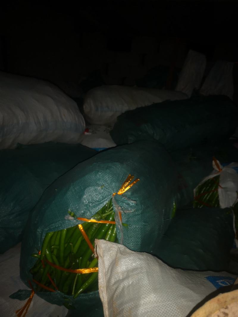 八号椒