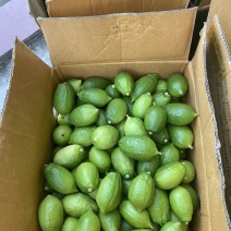 广东无籽香水柠檬