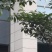民宿