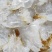 即食海蜇头海蜇丝生产厂家电商专供一件代发