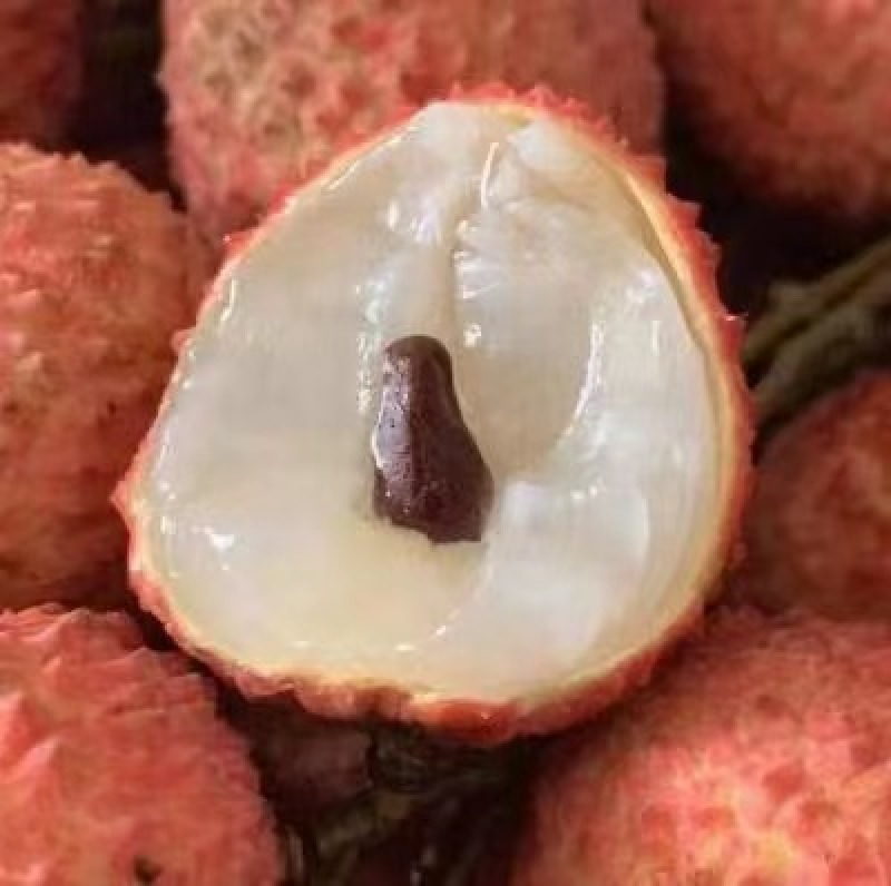 荔枝(乌叶)
