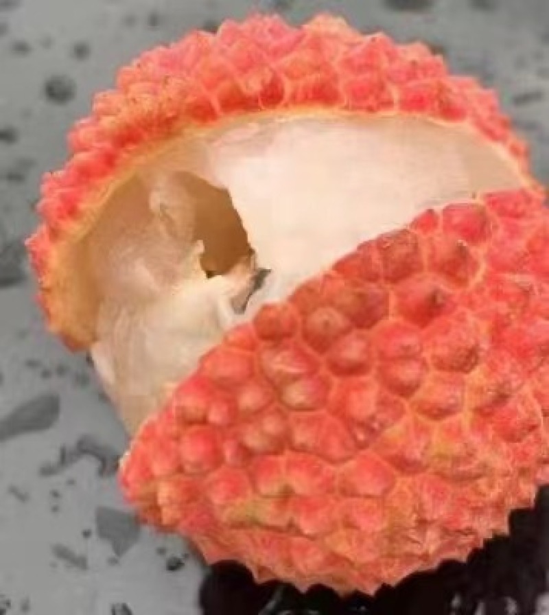 荔枝(乌叶)