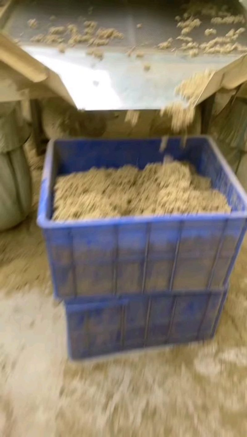 石磨天然艾绒15：1配伴你度过健康的一生3斤包邮