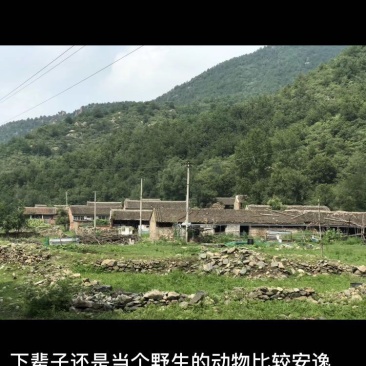 土地在北京怀柔自然1环境好