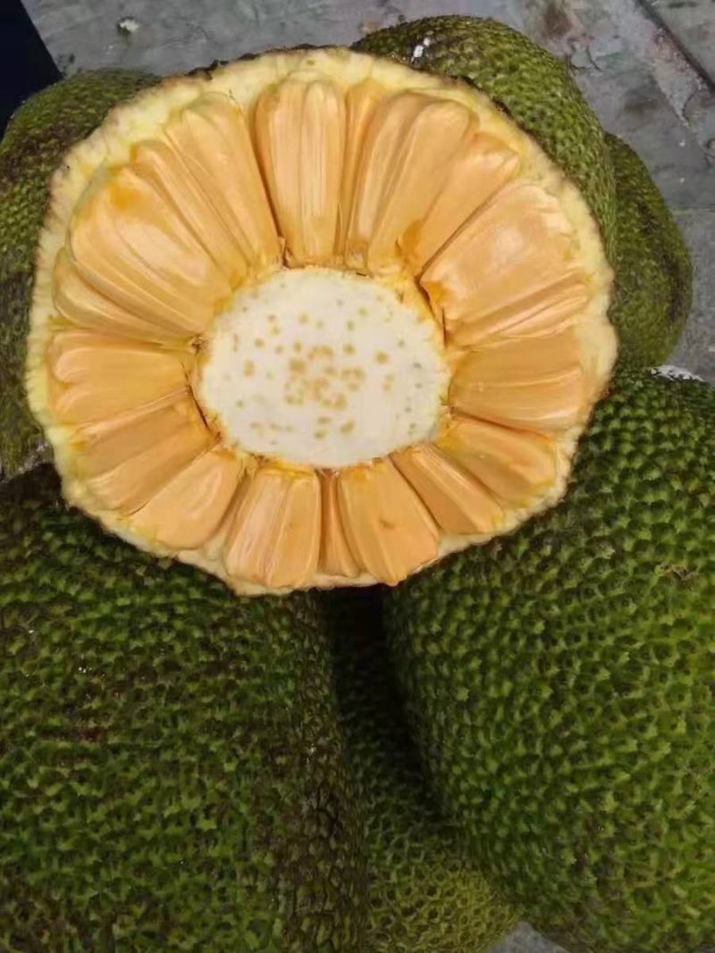 【推荐】菠萝蜜广东菠萝蜜果园直采量大优惠致电详谈