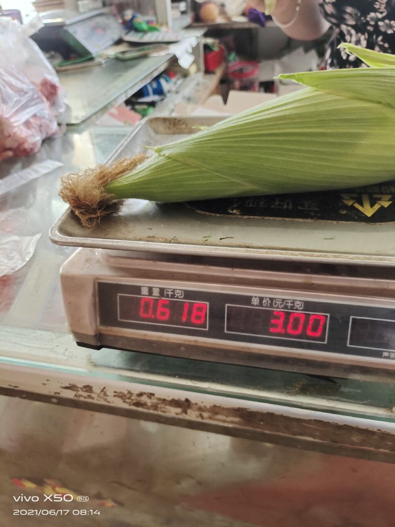 粘玉米，336，万糯188，美玉27大量现货供