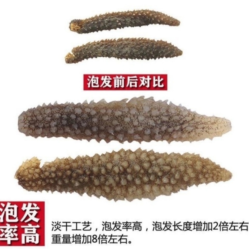 淡干野生刺参干货海参电商微商社区团购酒店**