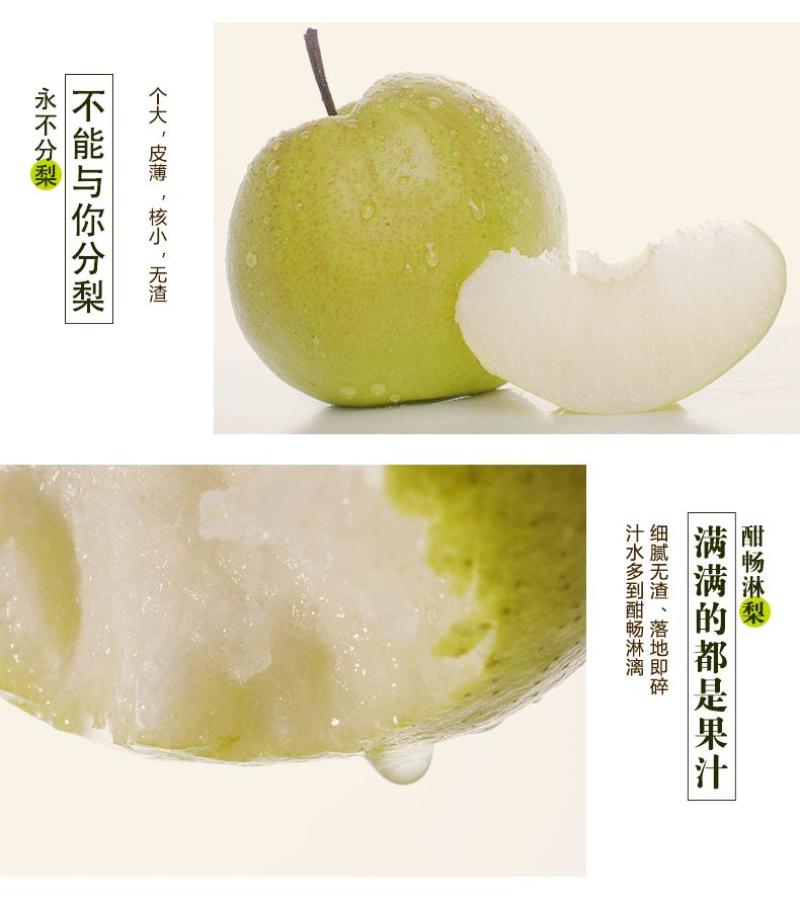 玉露香梨，优质香梨基地直供量大从优供商超