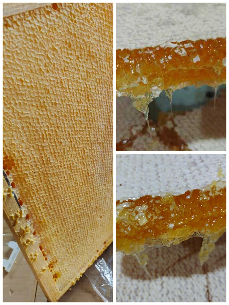 大量供应整张蜂巢蜜脾，适用酒店切割压蜜，配套礼盒
