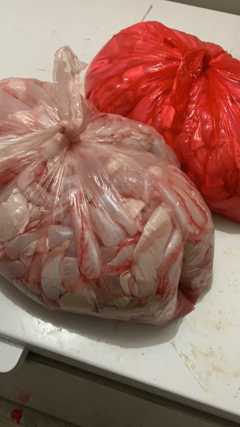 鲜鲤鱼籽鱼泡可长期供货