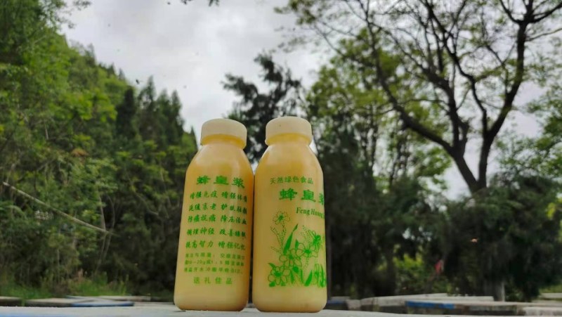 优质蜂王浆批发多种规格包装冷冻发货，蜂场直发，一瓶起发